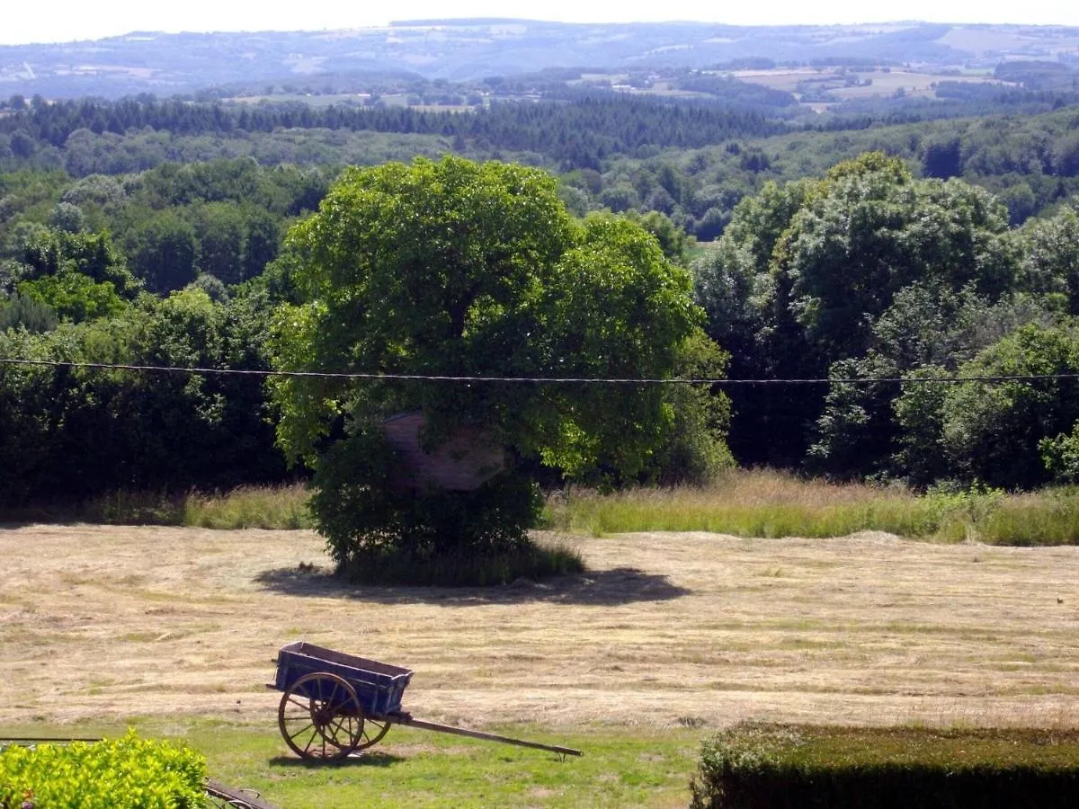 Charming Typical Auvergne Cottage Teilhet  0*, Teilhet (Puy-de-Dome) フランス